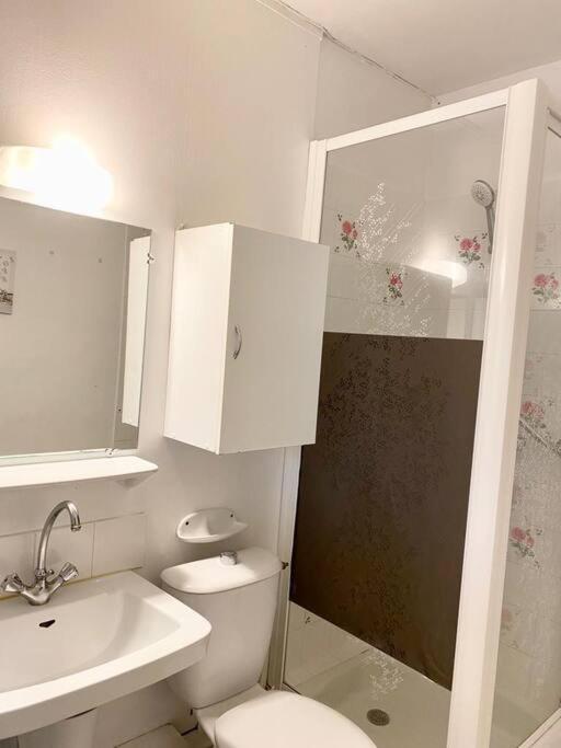 Logement Meuble Pres De Beauval Montrichard Exterior foto
